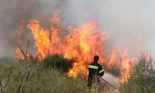 Αίσιο τέλος για την πυρκαγιά που ξέσπασε στην Τραχειά Επιδαύρου