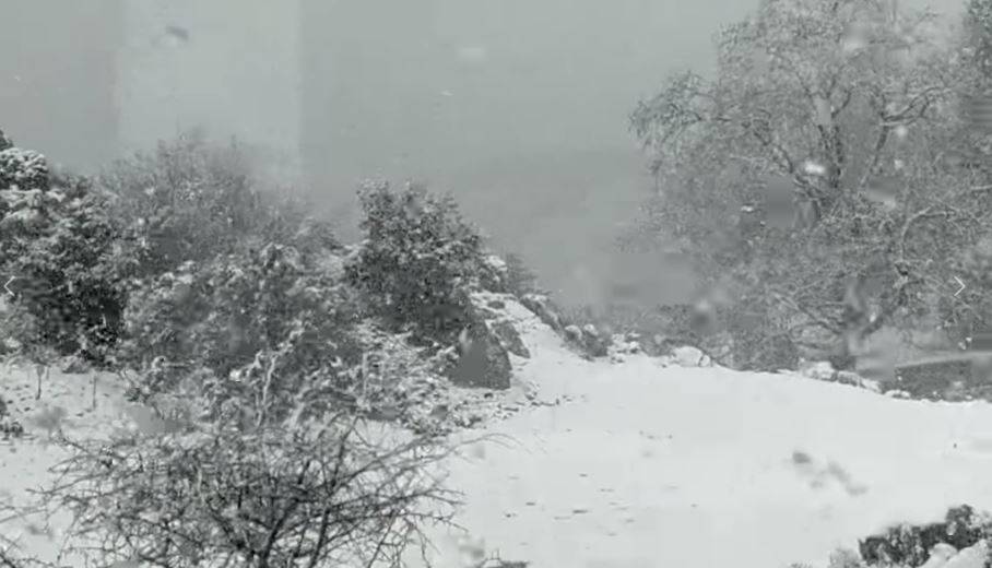 Χιόνι στην Καρυά Αργολίδας στις 23 Μαρτίου 2021