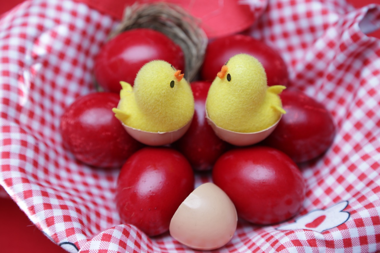 ΕΟΔΥ: Πόσο αντέχουν τα κόκκινα αυγά εκτός ψυγείου – Τί πρέπει να προσέχουμε στο κρέας