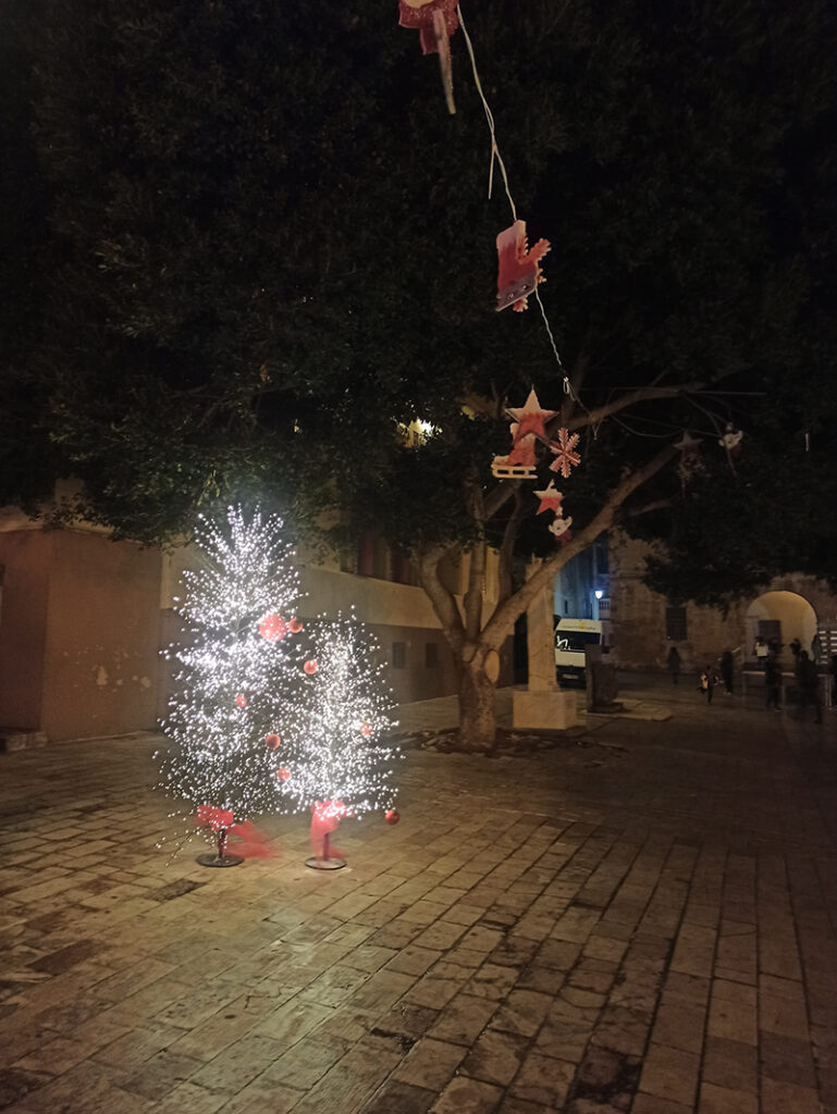 Χριστουγεννιάτικο δέντρο Ναύπλιο φωτισμένο (3)