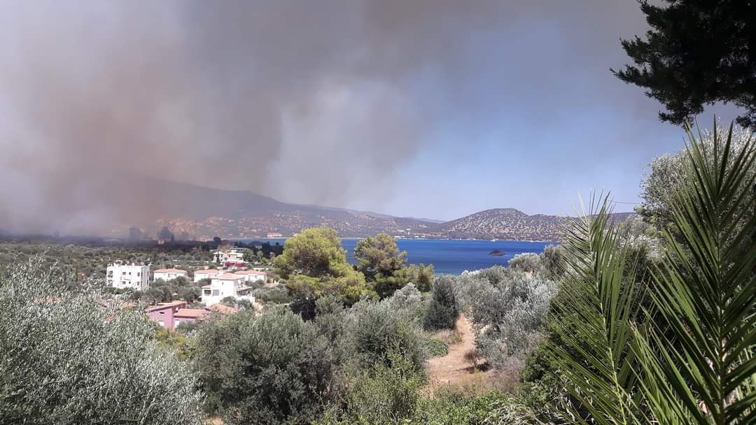 Μαίνεται η φωτιά στην Ερμιονίδα – 112 για εκκένωση της Δάρδιζας