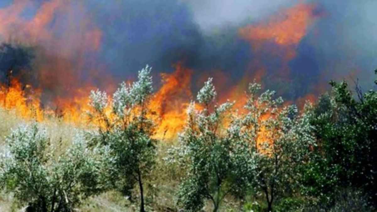 Επίδαυρος: Νέα φωτιά στο όρος Άκρος μέσα σε δυο μέρες