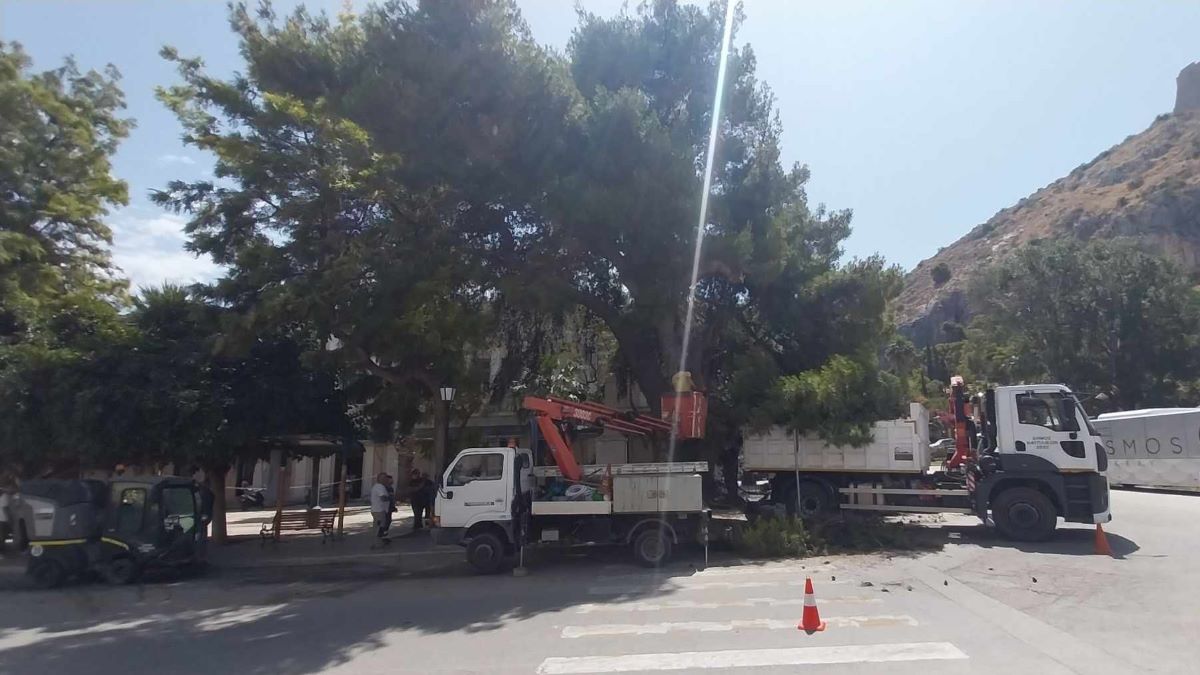 Κλαδεύουν προληπτικά τα δέντρα στον Δήμο Ναυπλιέων