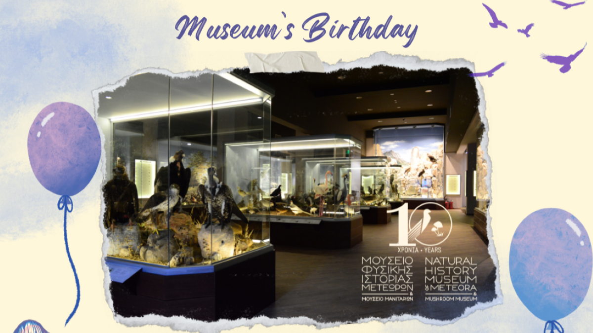 “Πάρτι Γενεθλίων” για τα 10 Χρόνια του Μουσείου Φυσικής Ιστορίας Μετεώρων & Μουσείου Μανιταριών