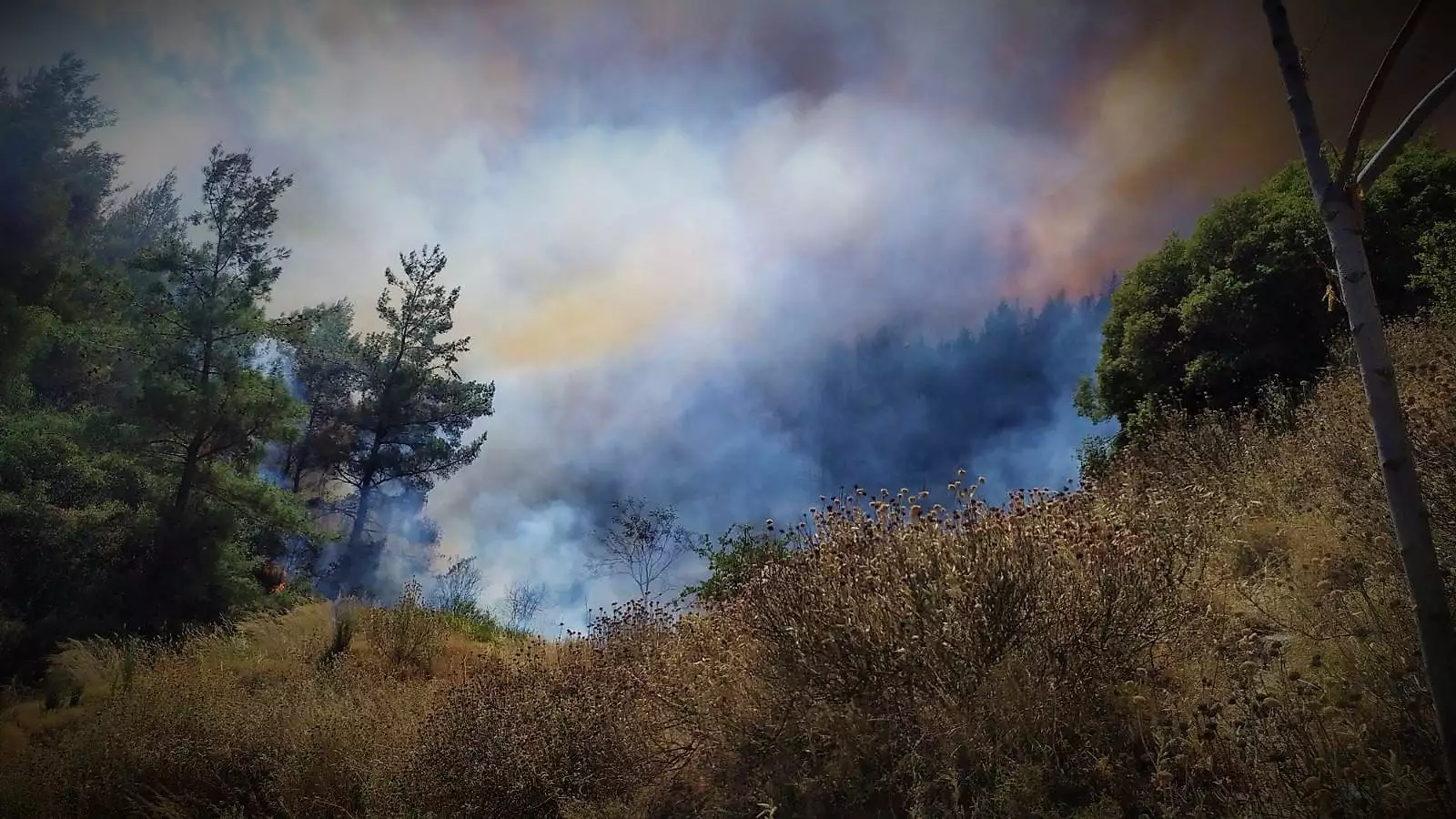 Αιτήσεις αποζημίωσης για ζημιές από τις πυρκαγιές στον Δήμο Ερμιονίδας