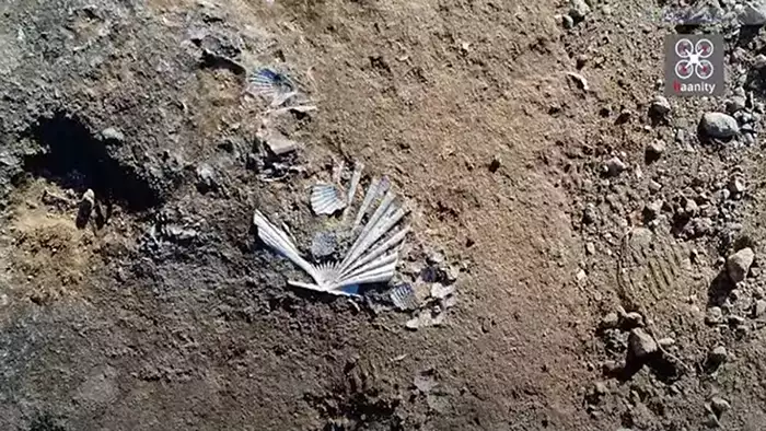 Λακωνία: Ο απίστευτος χωματόδρομος που κρύβει ένα μυστικό εκατομμυρίων ετών