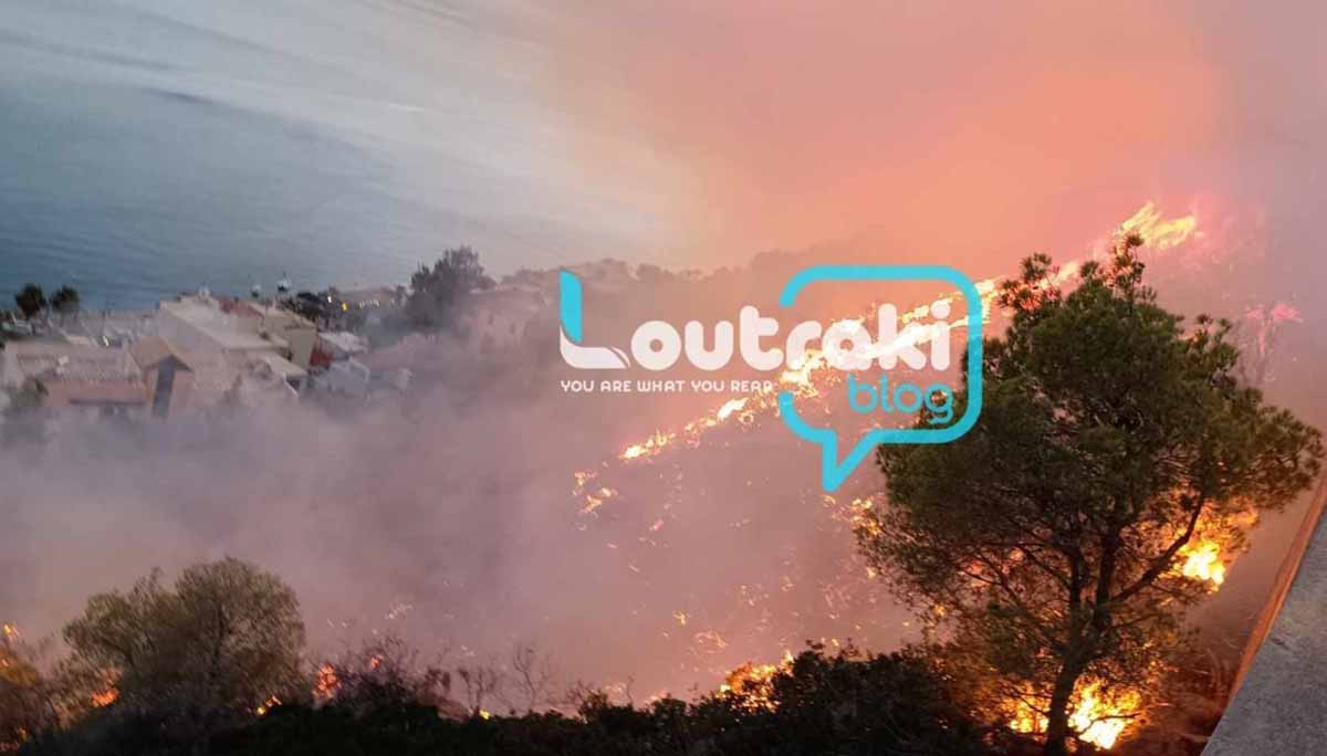 Λουτράκι: Κινητοποίηση για φωτιά τον Περιφερειακό (Βίντεο)