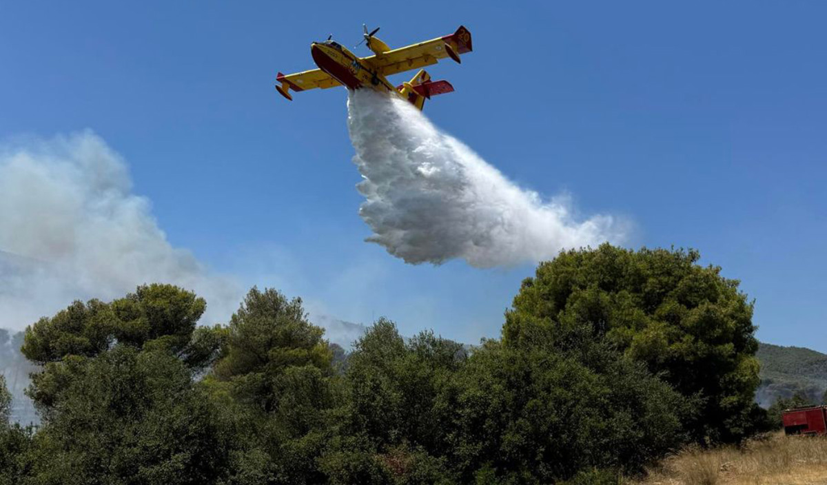 Έντονη κινητοποίηση για φωτιά στον Αυλώνα Μεσσηνίας