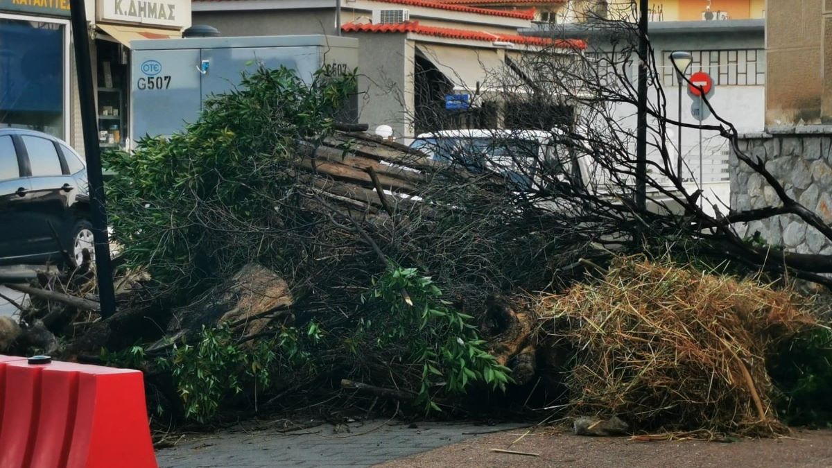 Άργος: Γέμισαν το πεζοδρόμιο μεγάλα σκουπίδια και κλαδέματα