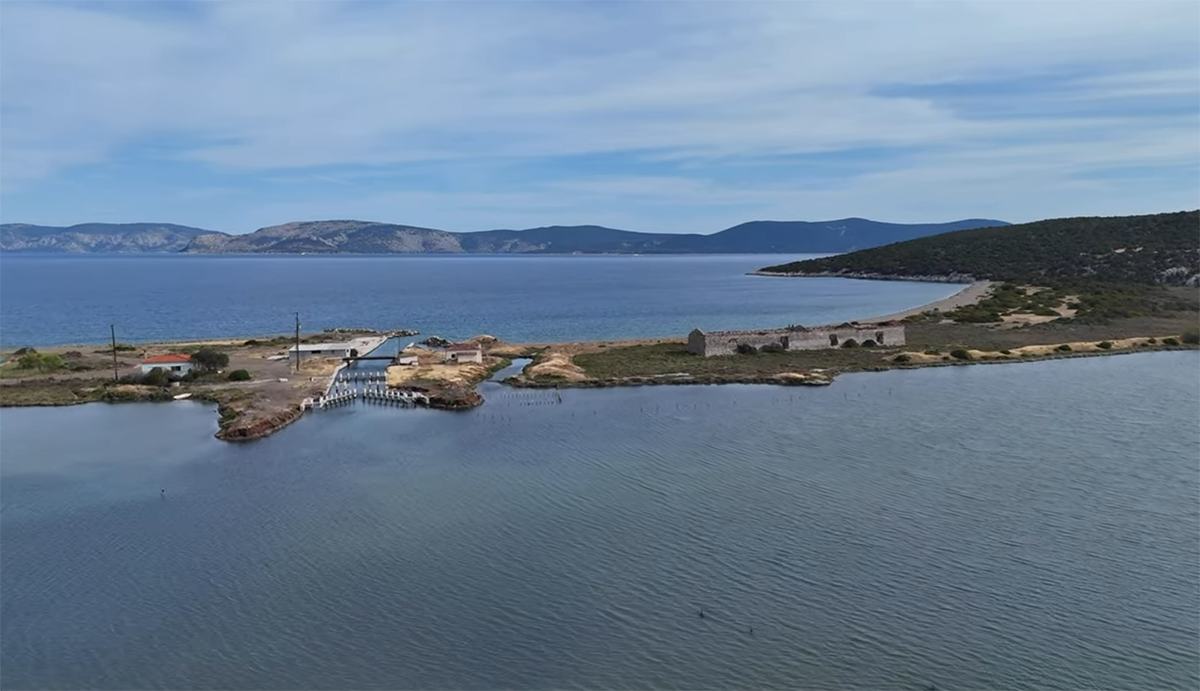Λιμνοθάλασσα Θερμησίας: Ένας κρυμμένος παράδεισος ορνιθοπανίδας στην Αργολίδα