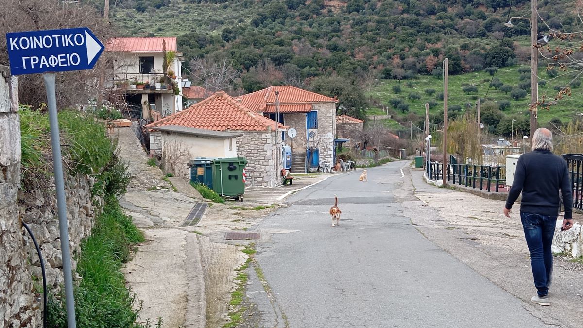 Ορεινή σύναξη με πεζοπορική και βιωματική προσέγγιση στο Ραπτόπουλο Μεσσηνίας