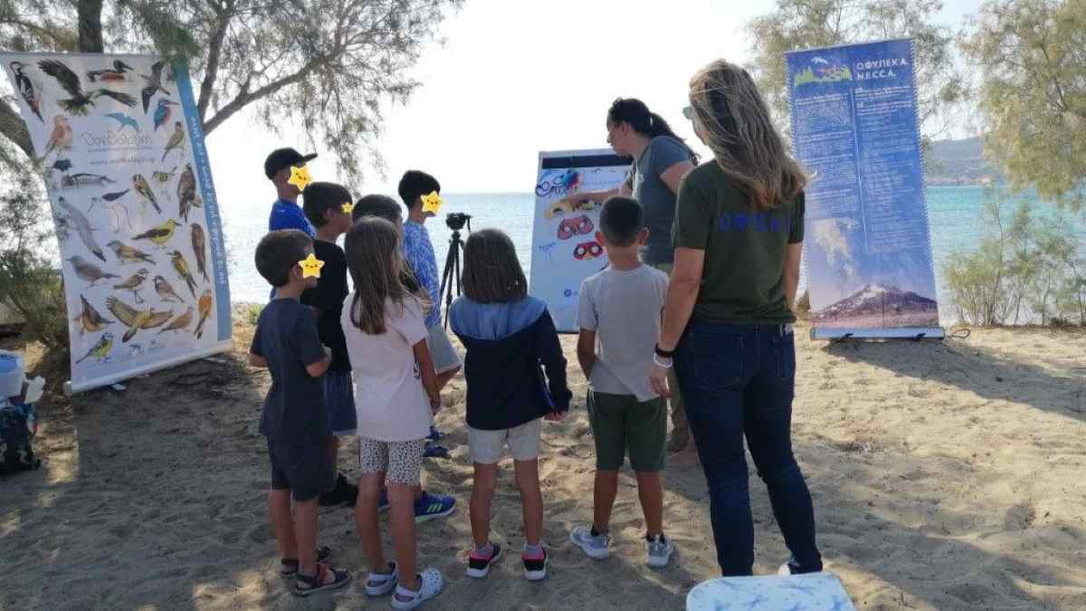 Γιορτή Πουλιών Πούντα