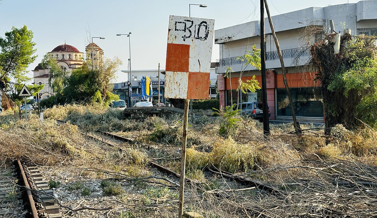 Καθάρισαν τους ευκάλυπτους του ΟΣΕ στο Άργος αλλά παράτησαν τα κλαδιά