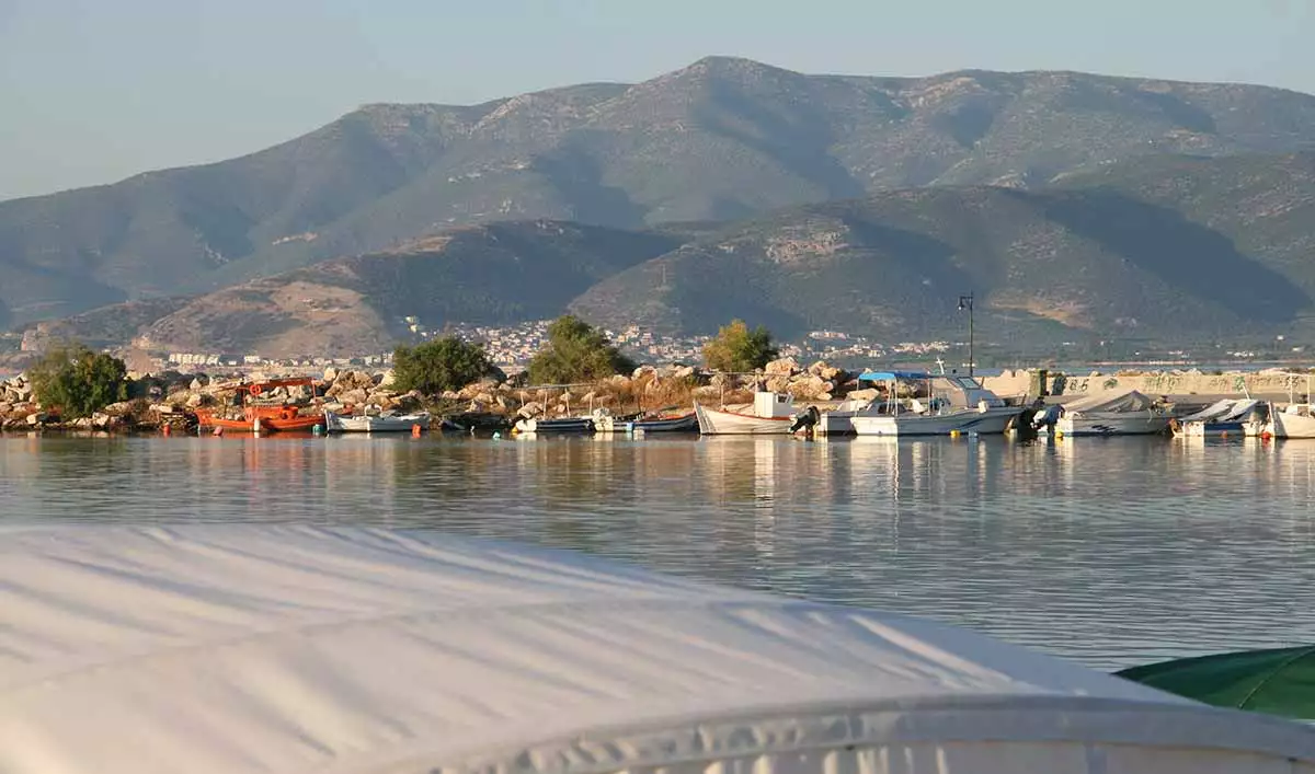 Γνωριμία με το Λαογραφικό Μουσείο Νέας Κίου και κοπή Πρωτοχρονιάτικης Πίτας