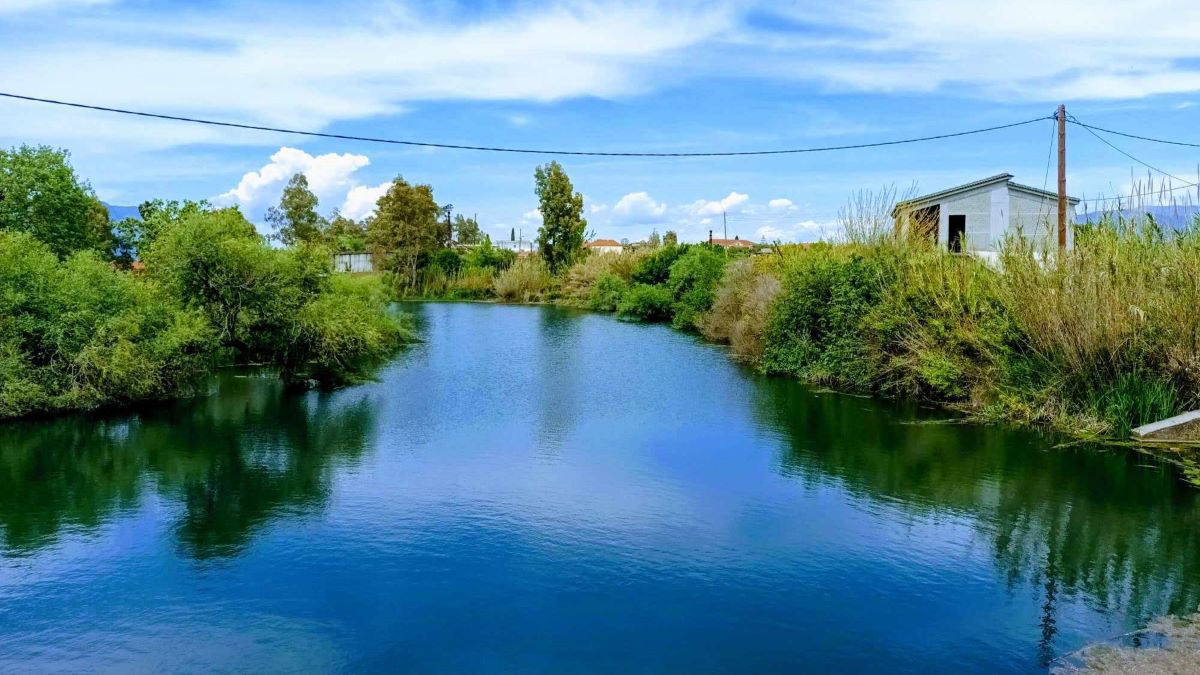 «Πάμισος και Μεσσήνη, γνωρίζουμε-νοιαζόμαστε»: Ένας μαθητικός διαγωνισμός αφορμή για την ανάδειξη του ποταμού