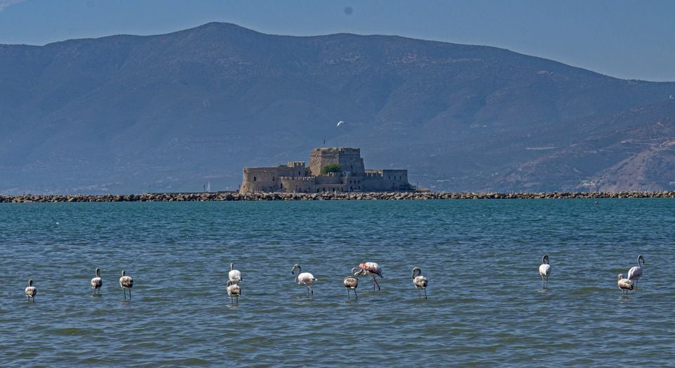 Υδροβιότοπος Ναυπλίου Νέας Κίου