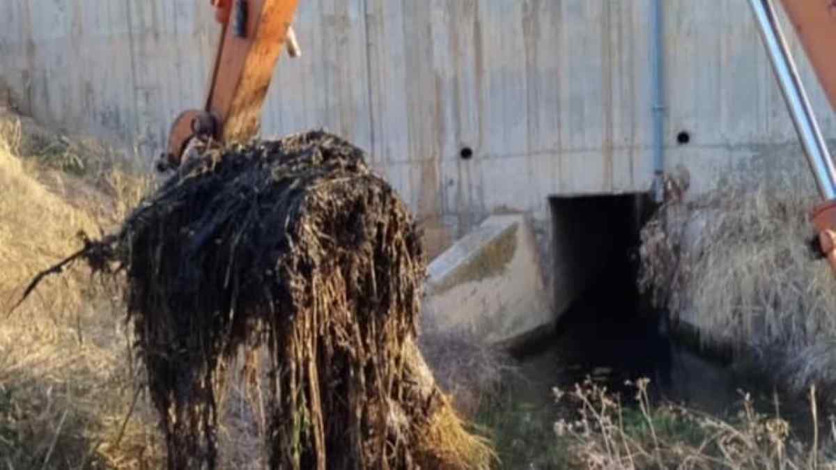 Εργασίες καθαρισμού στη Νέα Κίο