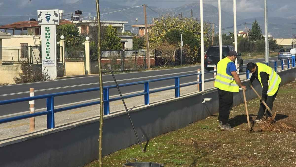 Ξεκίνησε η δενδροφύτευση στο δήμο Άργους Μυκηνών