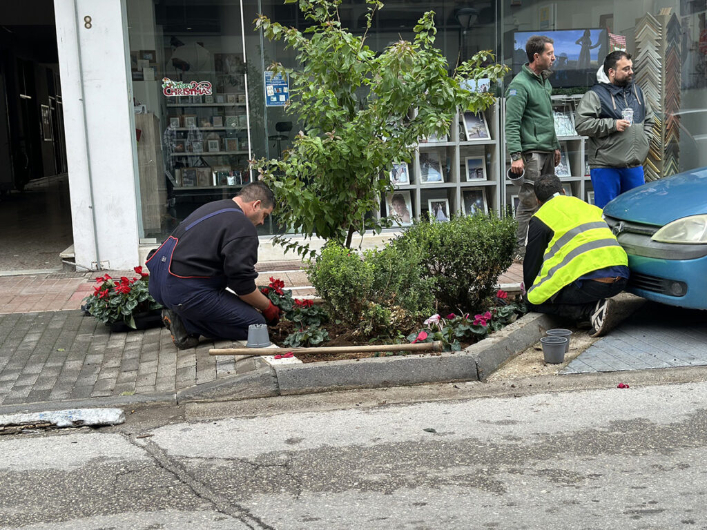 εργασίες φύτευσης παρτεριών Άργος