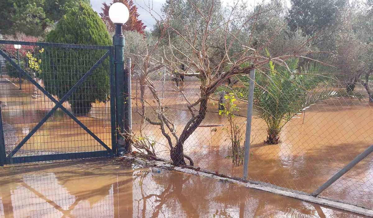 Μεσσηνία: Καταστροφές σε ελαιοκαλλιέργειες και δρόμους από χαλάζι