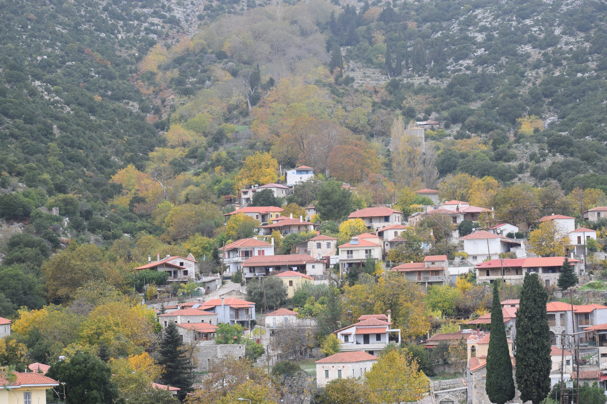 Καρυά: Παραμένει πρόεδρος ο Γαλάνης στον Σύλλογο «Το Αρτεμίσιο»