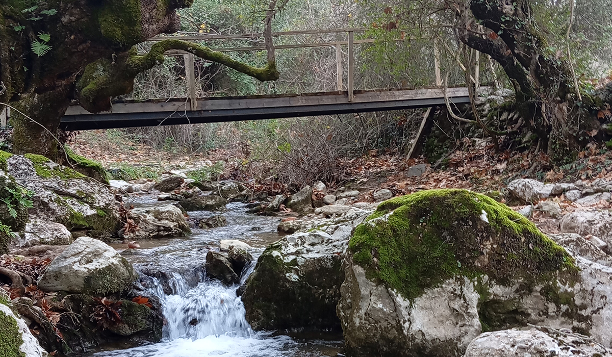 Μεσσηνία: Πεζοπορική εξόρμηση σε Παλαιό Λουτρό και Ποταμιά