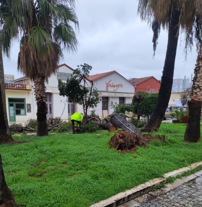 ptosi dentrou nafplio