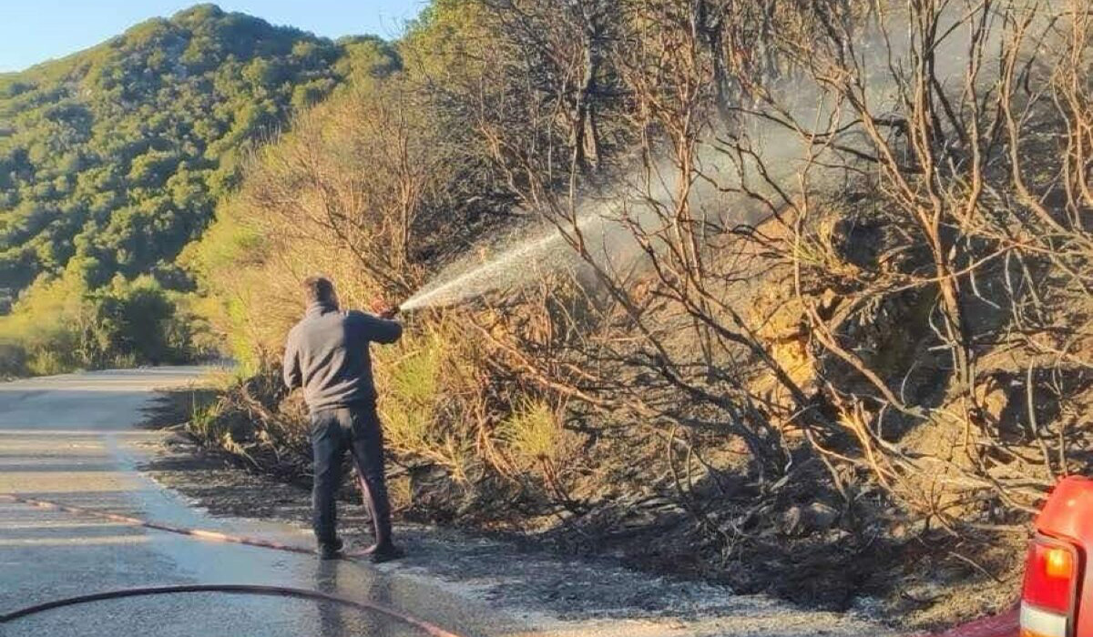 Άμεσα κατασβέστηκε δασική πυρκαγιά στη Γορτυνία