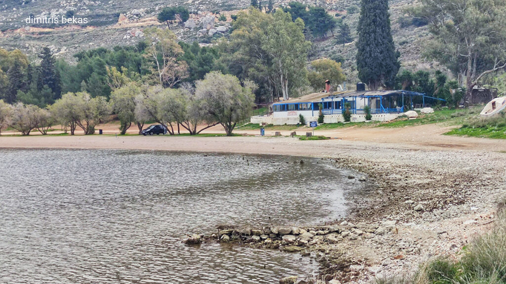 Άμπωτη Καραθώνα