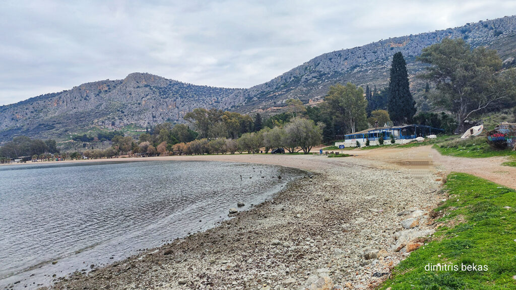 Άμπωτη Καραθώνα