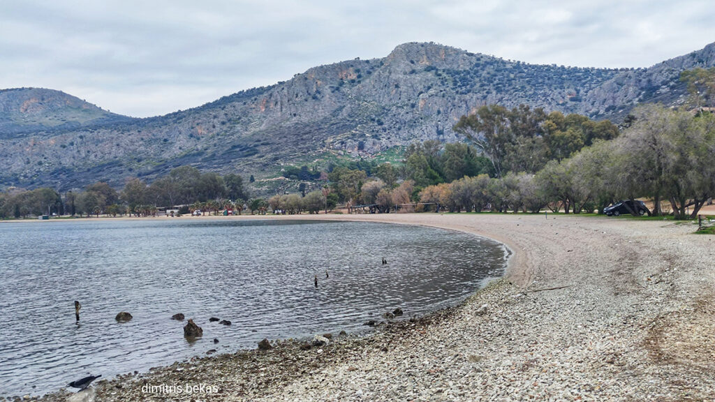 Άμπωτη Καραθώνα