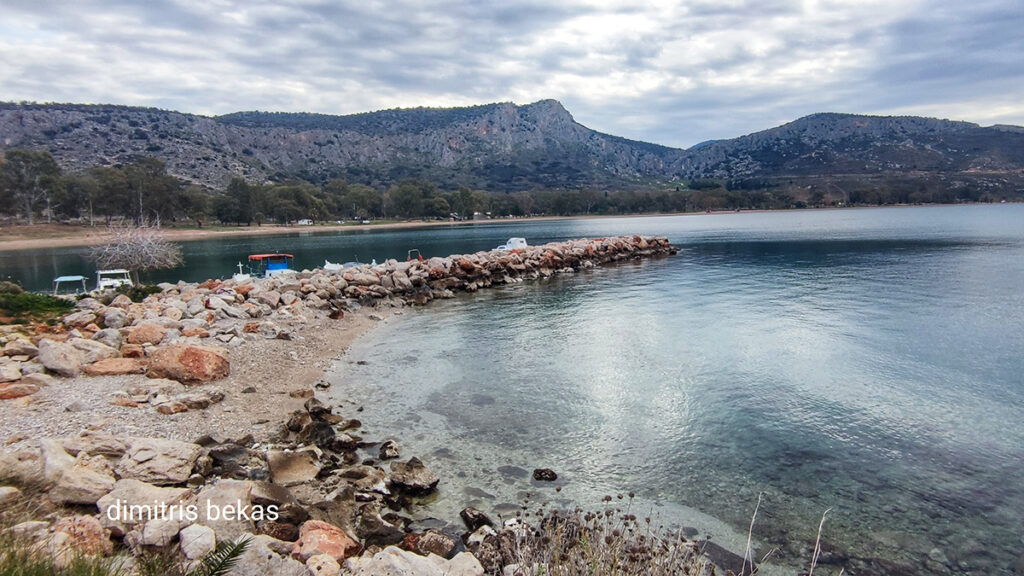 Καραθώνα Ναυπλίου Μπέκας