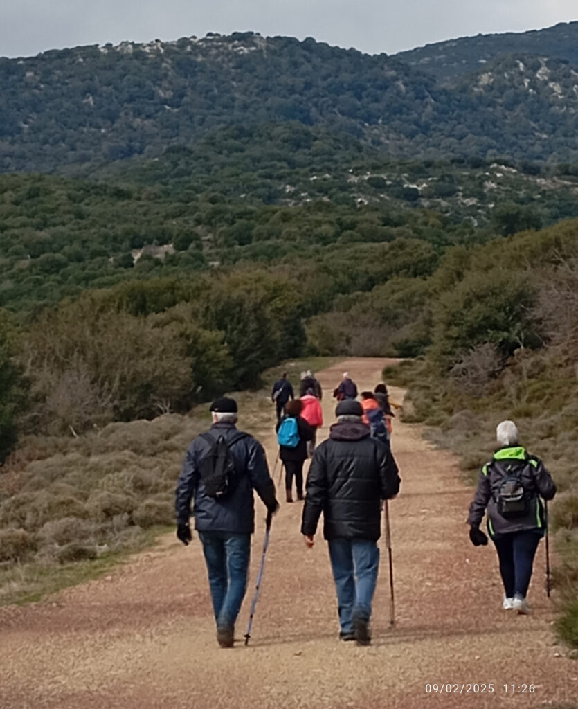 Ζωντάνεψαν τη Κουλκαδα τα Γεράκια