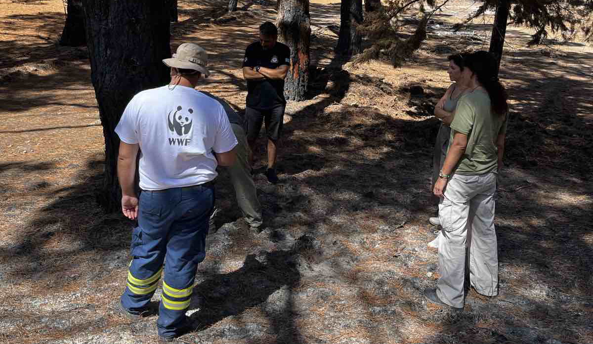 Άργος: Η WWF εκπαιδεύει πάνω από 300 εθελοντές για δασικές πυρκαγιές