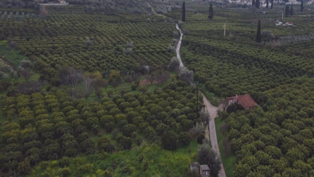 Ασφαλτοστρώσεις αγροτικών δρόμων στον Δήμο Ναυπλιέων