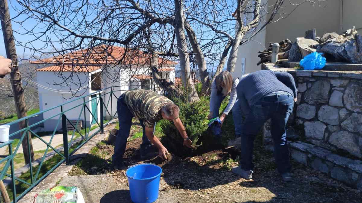 Κρύα Βρύση: Επέστρεψαν το έλατο τους στο φυσικό του περιβάλλον