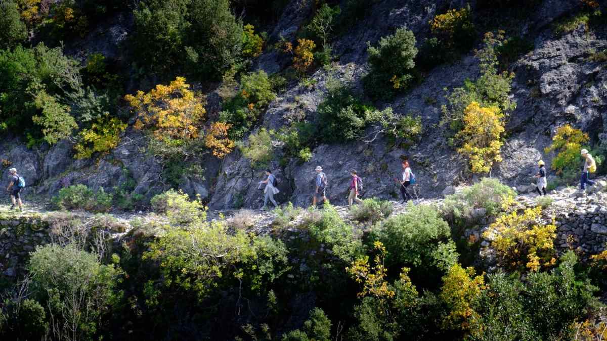 Μονοπάτια των Μυκηνών: Ένα ταξίδι στην ιστορία και την τέχνη